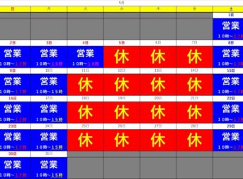 今日のメダカ ４ 当店オリジナル品種 インコル ゆたかなメダカ情報発信サイト アポロン雑記